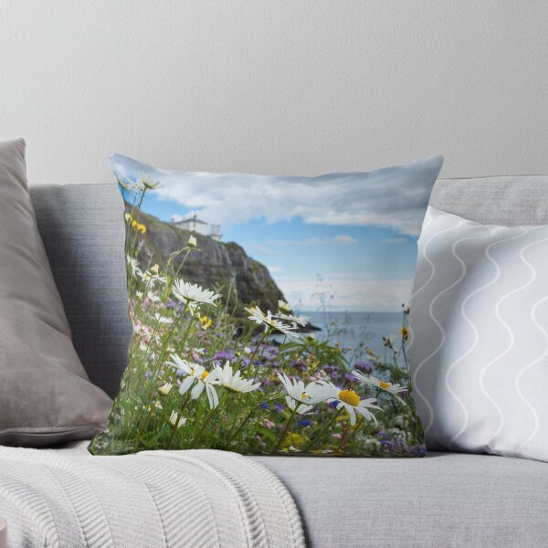 Item preview, Summer at Blackhead Lighthouse designed and sold by Nigel R Bell Photography.