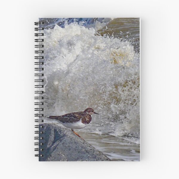 Item preview, Turnstone designed and sold by Antoinette B.