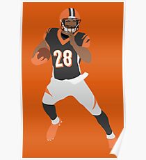 Póster Joe Mixon