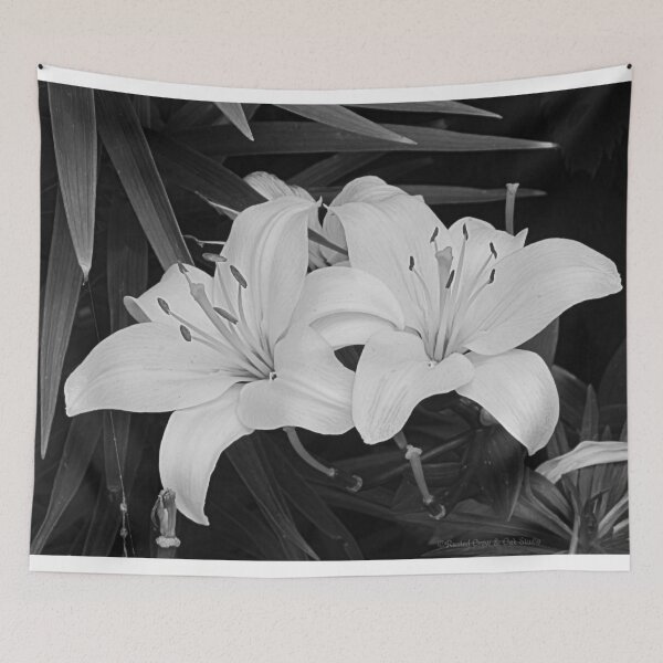 Item preview, Contemporary Black White Lily Flower Floral Art A116 designed and sold by byNicol.