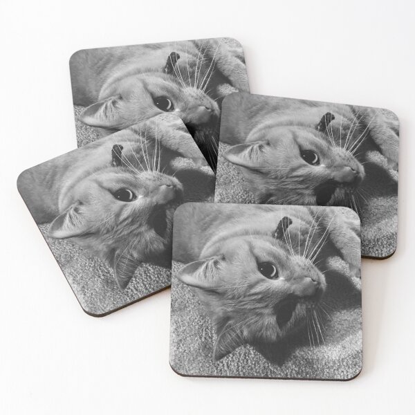 Item preview, B/W Cat designed and sold by TheTimekeeper.