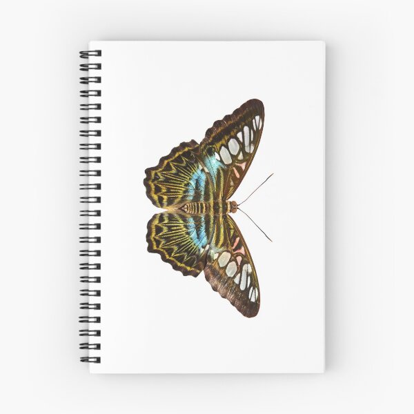Item preview, Clipper Butterfly designed and sold by neil harrison.