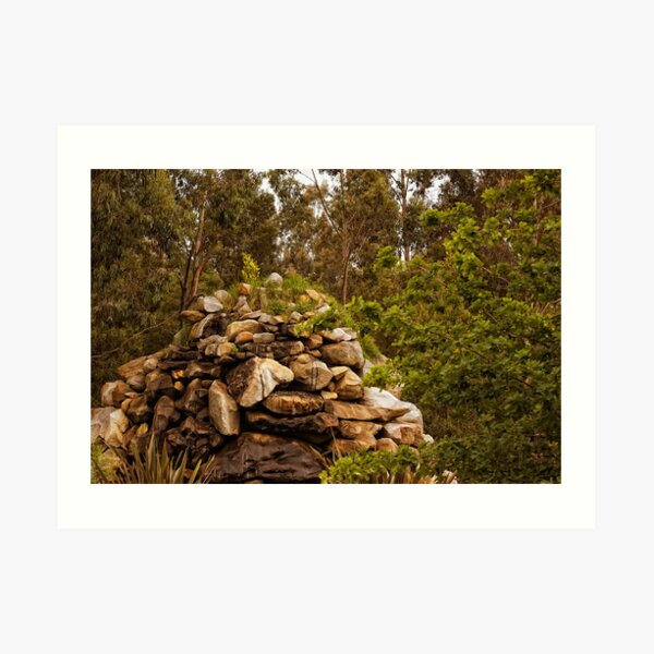 Otways National Park Art Print