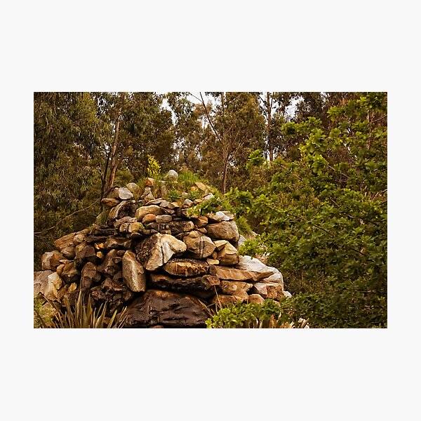 Otways National Park Photographic Print