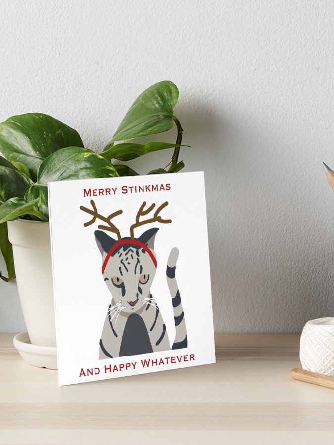angry christmas cat