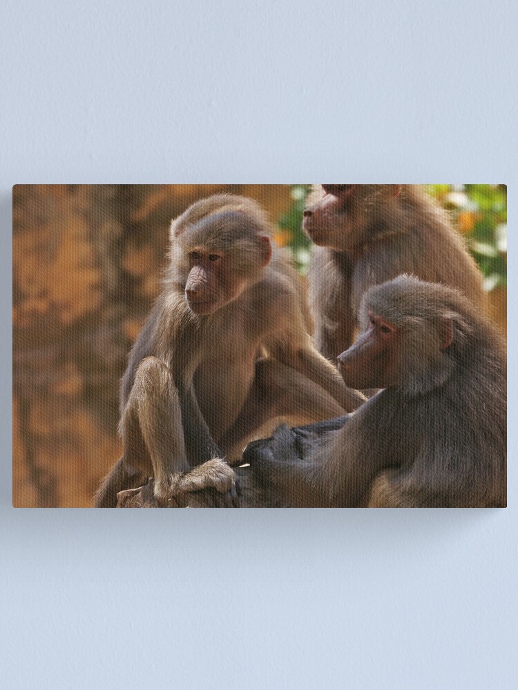 Alternate view of "monkey business" Canvas Print