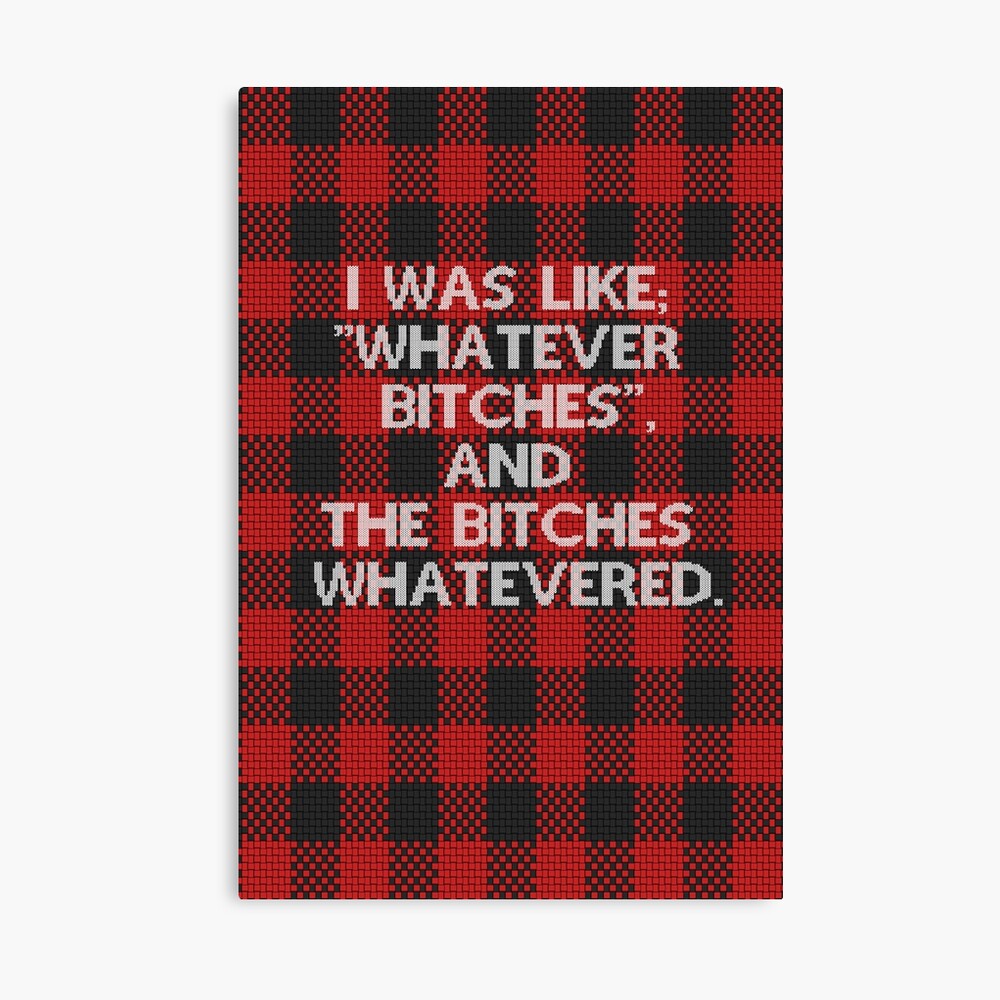 I WAS LIKE "WHATEVER BITCHES", AND THE BITCHES WHATEVERED Pillow