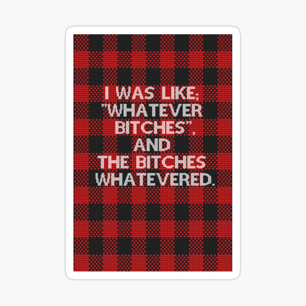 I WAS LIKE "WHATEVER BITCHES", AND THE BITCHES WHATEVERED Pillow