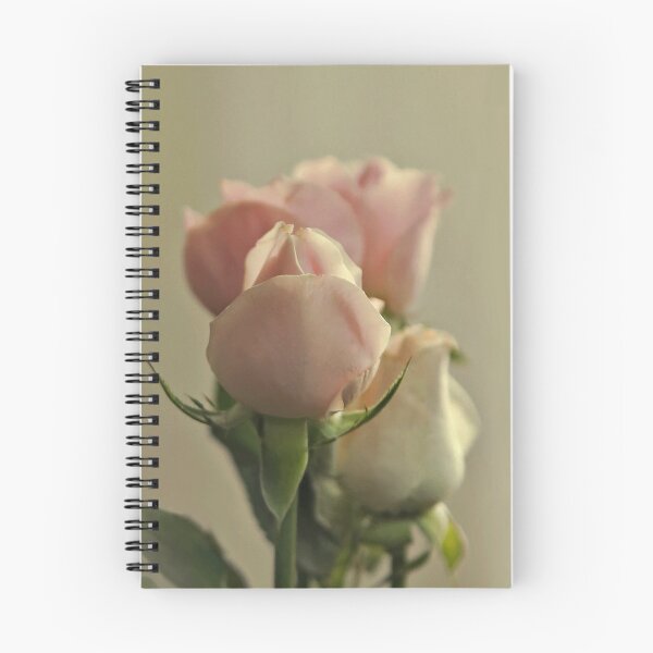 Item preview, Soft Roses designed and sold by ana dawani.