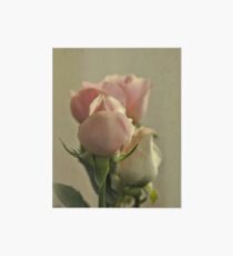 Soft Roses Art Board