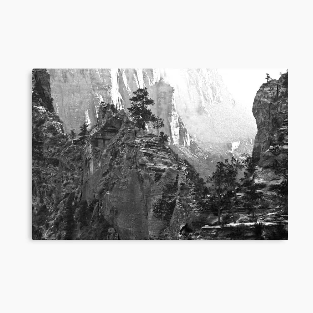Trail to Angels Landing Canvas Print