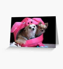 Two dogs in a pig. Greeting Card