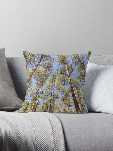 Artikel-Vorschau von Pinus elliottii Wald, designt und verkauft von Helissa Grundemann.