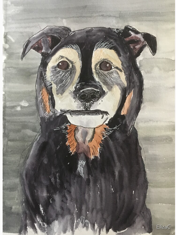 Dog by ElizaC