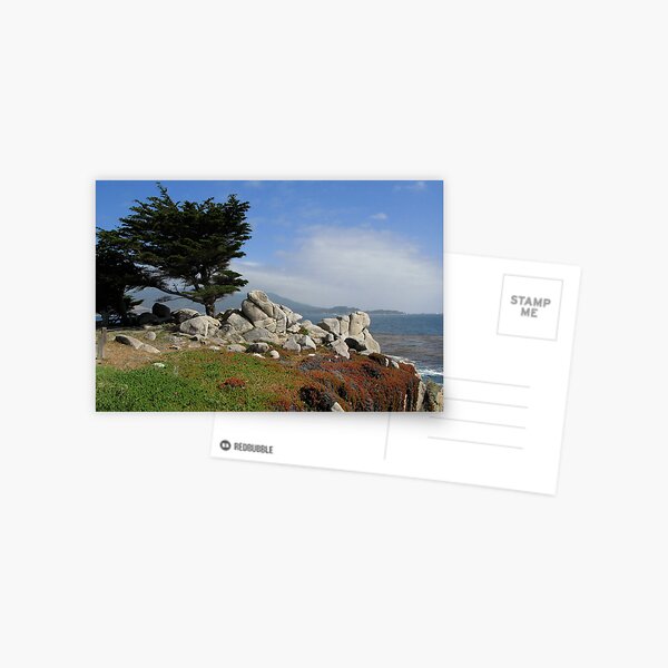Monterey Beach 2 Postcard