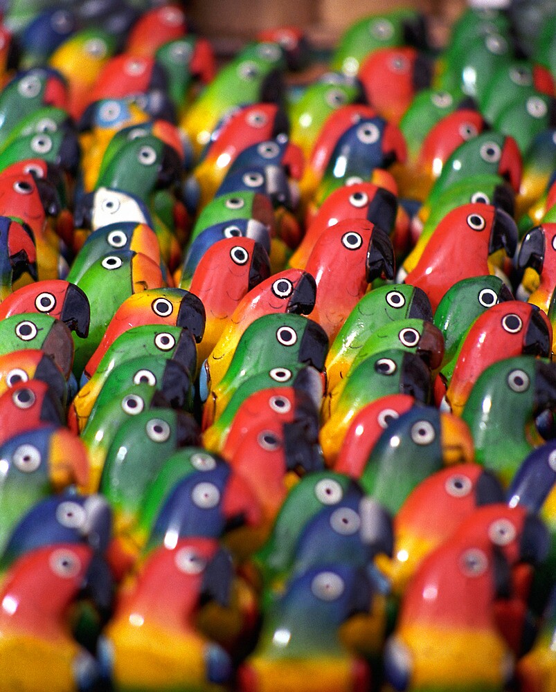 "Brightly Coloured Balsawood Models of Parrots, Ecuador " by Petr