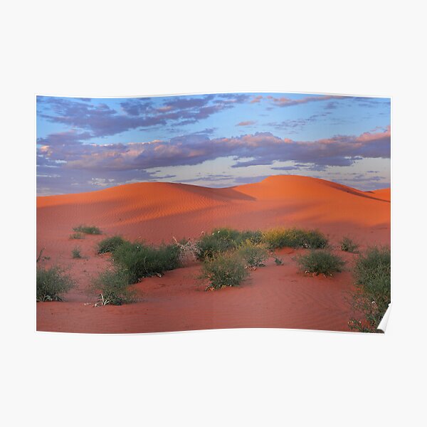 Dunes and Paddy Melons Poster