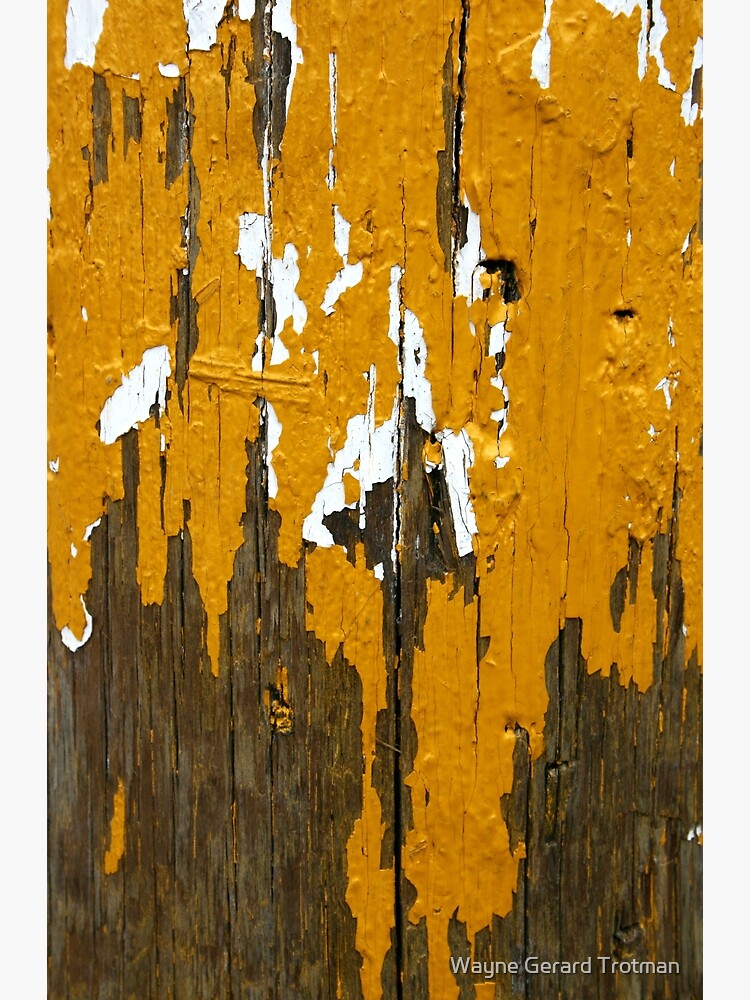 Once Clothed in White, then Yellow Ochre by redmoondragon