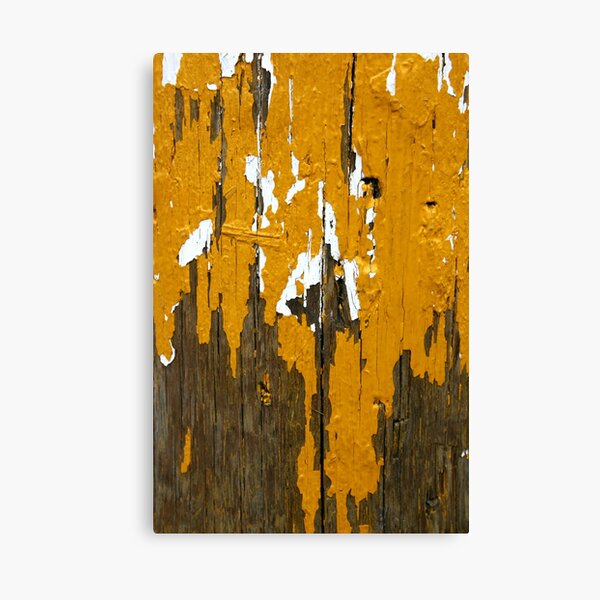 Once Clothed in White, then Yellow Ochre Canvas Print
