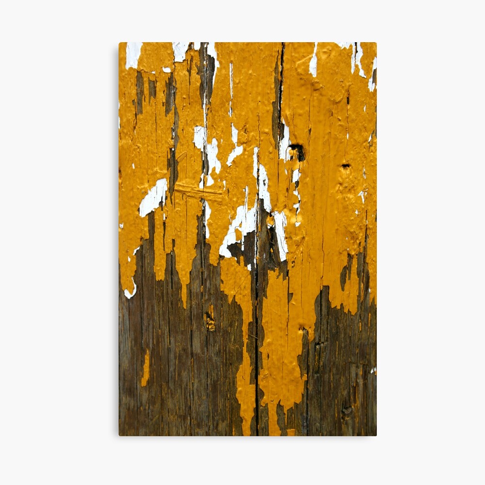 Once Clothed in White, then Yellow Ochre Canvas Print