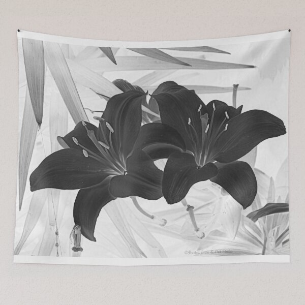Item preview, Contemporary Black Lily Flower Floral Art A116 designed and sold by byNicol.