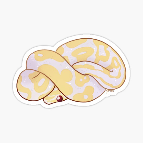 Removeable Wall Decal Snake Ball Python Cold Blooded Prints Sticker 014WTF Removeable Wall Decal Snake Ball Python Cold Blooded Prints Sticker 014WTF
