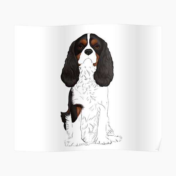 Cavalier King Charles Spaniel Tri-Color Poster