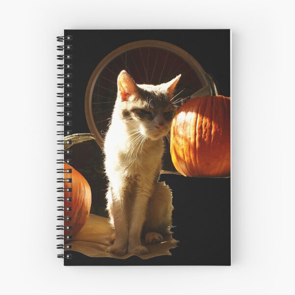Item preview, Halloween Cat with Pumpkins designed and sold by GingerBlooms.