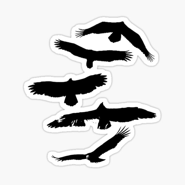 Vultures Five - black on white Sticker