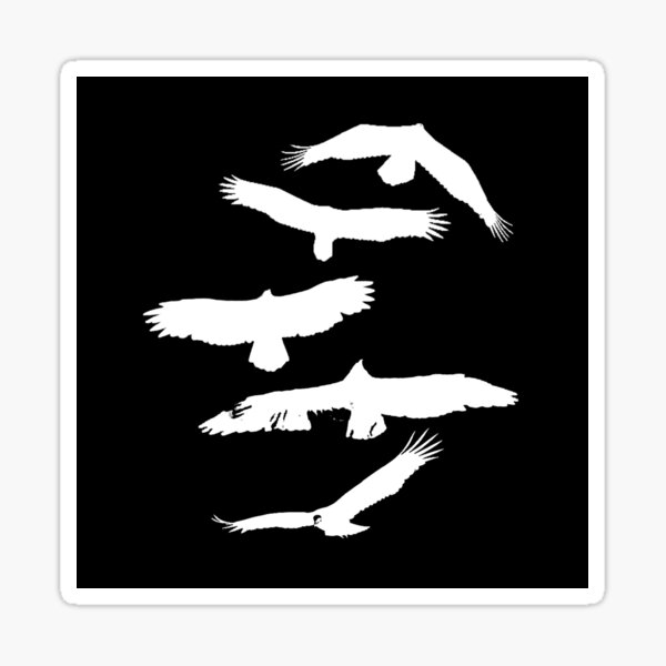 Vultures Five - white on black Sticker