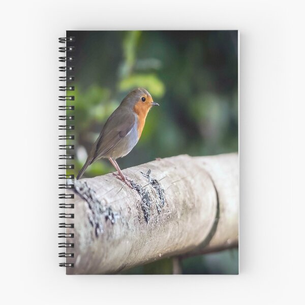 Item preview, Robin on a log fence designed and sold by David. C.A. Le Quelenec.