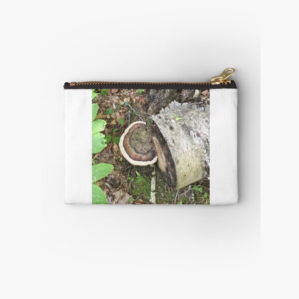 Item preview, Beautiful Mushroom attached to Birch Log designed and sold by 2CrabbySisters.