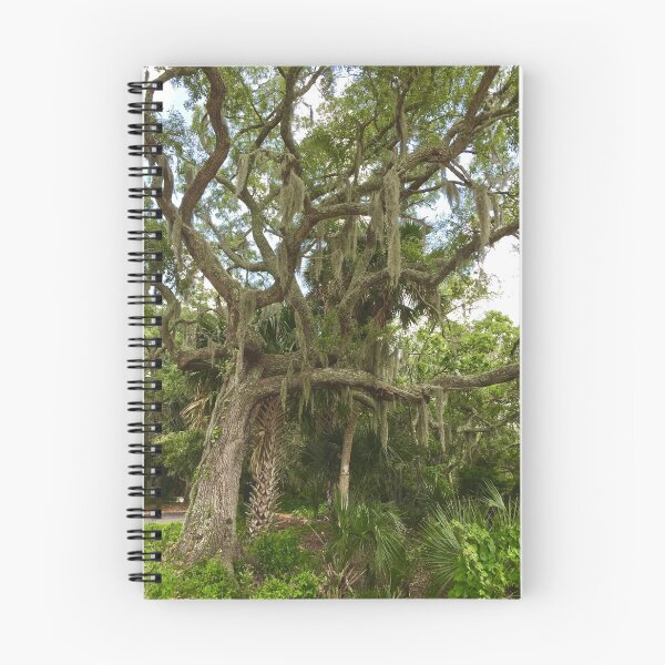 Item preview, Old forest with Gnarled tree with Palms Growing Between designed and sold by 2CrabbySisters.