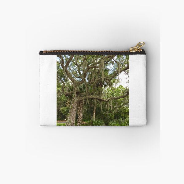 Item preview, Old forest with Gnarled tree with Palms Growing Between designed and sold by 2CrabbySisters.