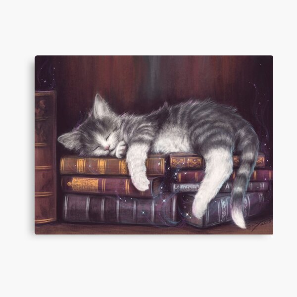 Keeper of the Books Canvas Print