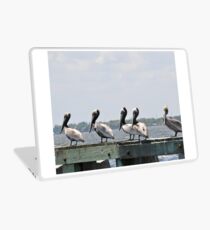 Young Pelicans lined up on the dock Laptop Skin