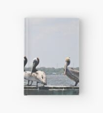 Young Pelicans lined up on the dock Hardcover Journal