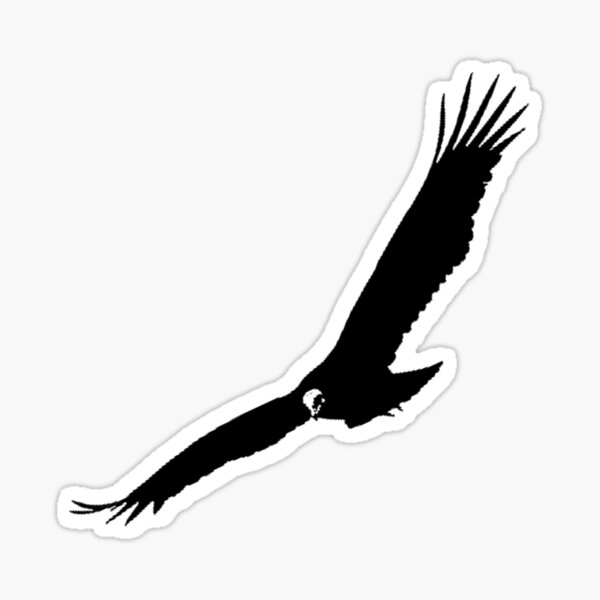 Vulture Sticker - IV Sticker