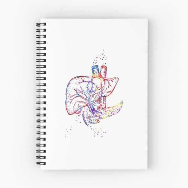 Item preview, Liver, human organs, liver art, liver anatomy, human liver anatomy designed and sold by Rosaliartbook.