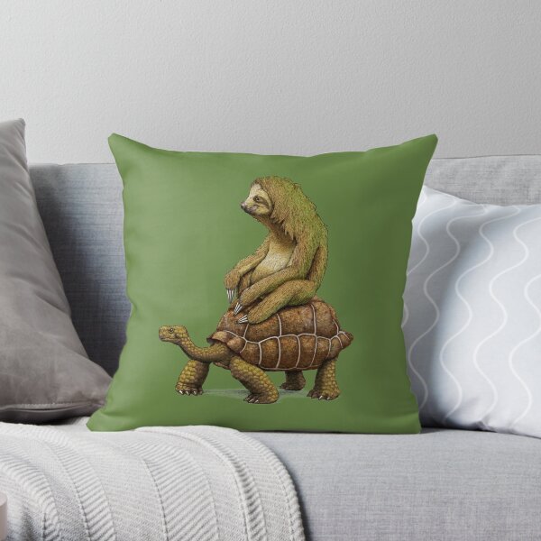 Speed is Relative Throw Pillow