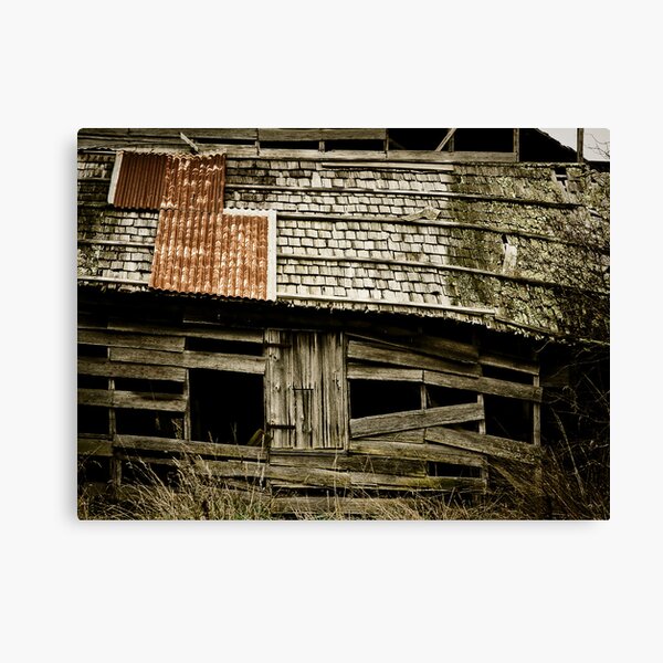 Beyond Repair #3 - Tasmania Canvas Print