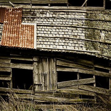 Artwork thumbnail, Beyond Repair #3 - Tasmania by wootton60