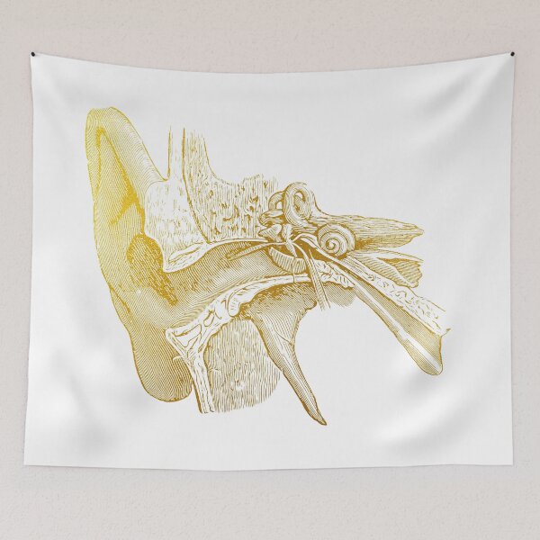 Item preview,  Human ear designed and sold by Liededrom..