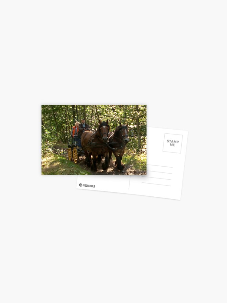 Thumbnail 1 of 2, Postcard, Full speed ride with draft horses and carriage  designed and sold by steppeland.