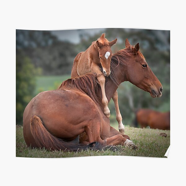 Love You Mum Poster