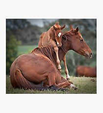 Love You Mum Photographic Print