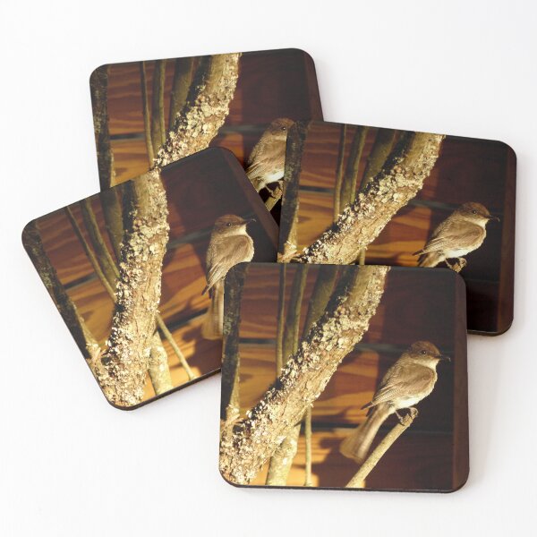 Item preview, Flycatcher designed and sold by J Rier Photography.