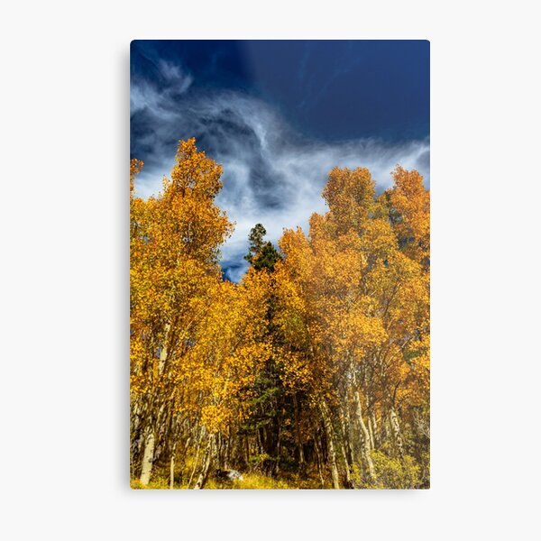 Bishop Curtain of Fall Color Metal Print