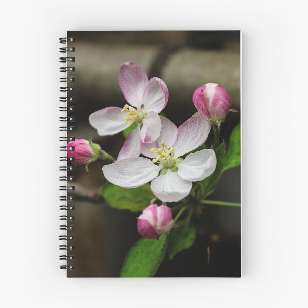 Item preview, Apple Blossom designed and sold by Bevlyn.