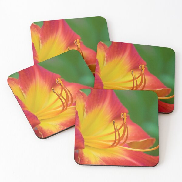 Item preview, Ruby Spider Day Lily designed and sold by What I See by Dawne.